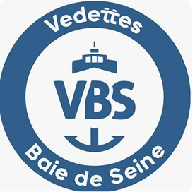 vbs-logo